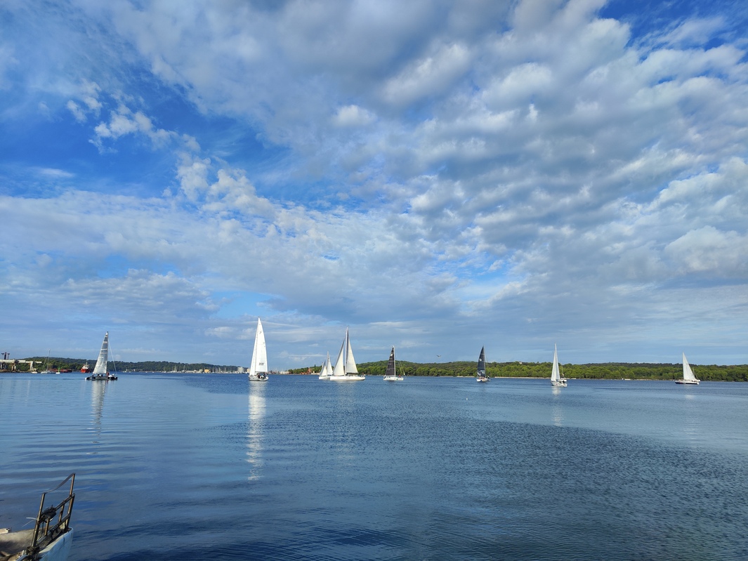 Regata Pula – Trst