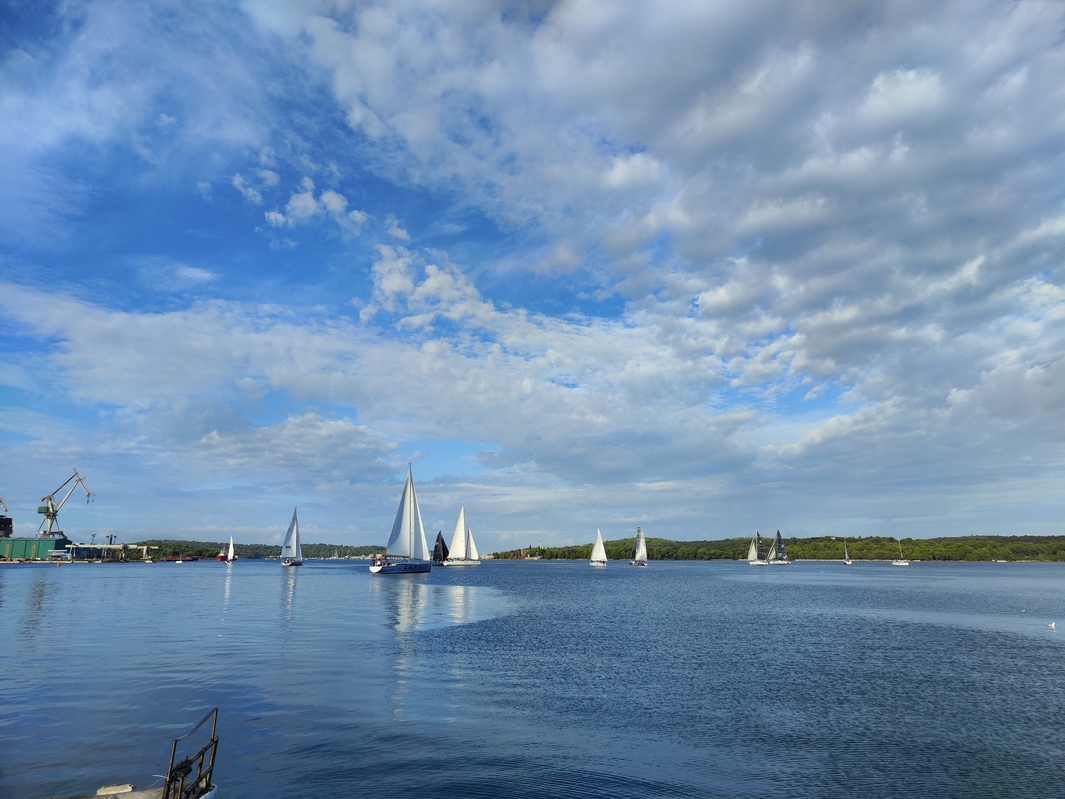 Go To Barcolana From Croatia – start iz Pule