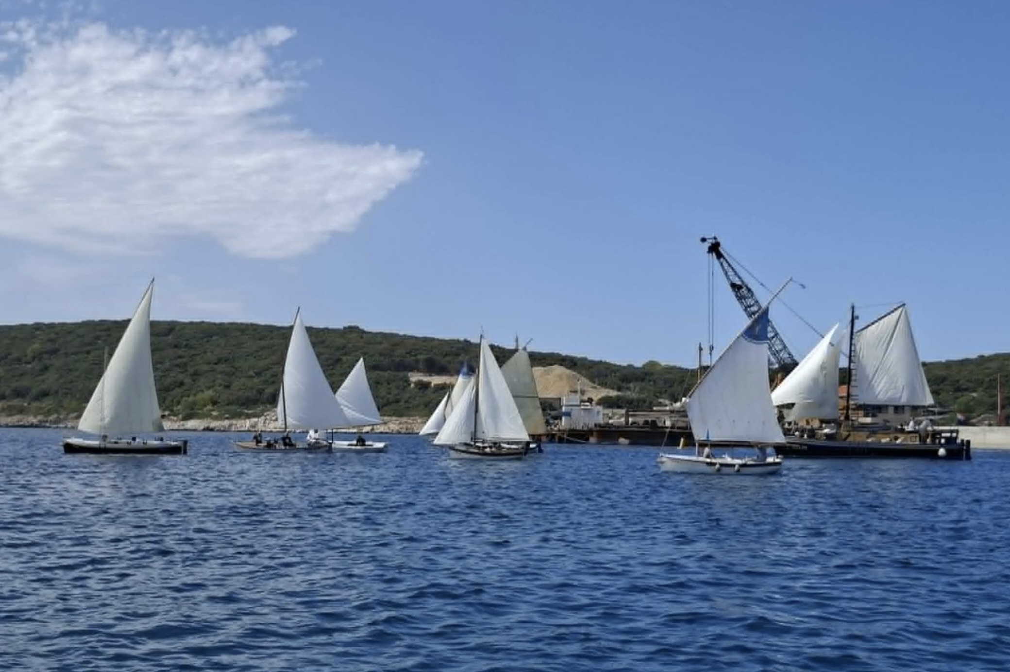 Martinska regata 2026. - SK Mandrač-Tivoli 5